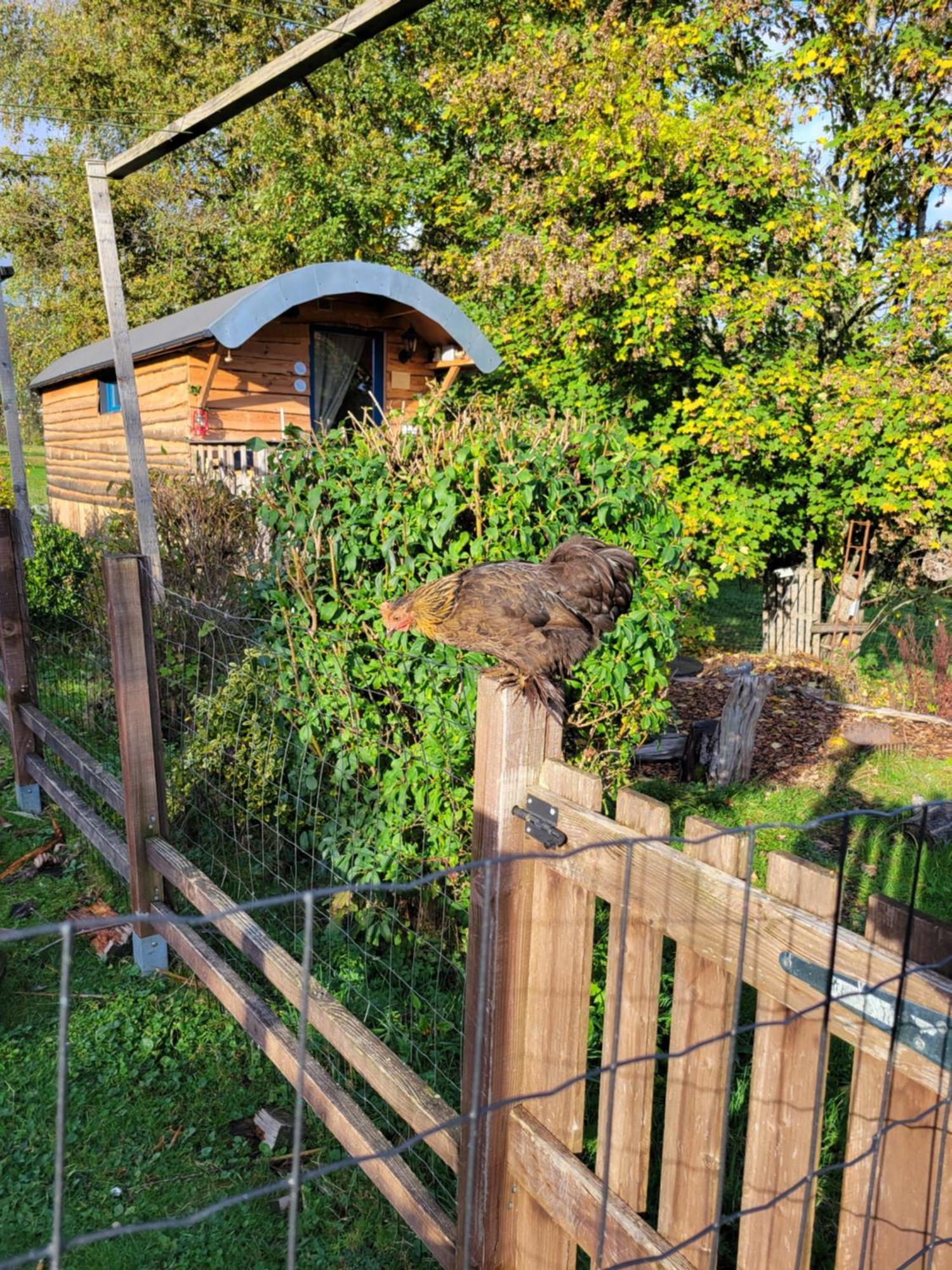 La Roulotte Tiny House Du Mond'Ideal Leval  Habitación foto